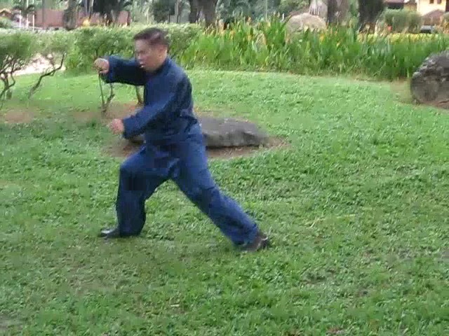 Wu Yu Xiang Style Taijiquan